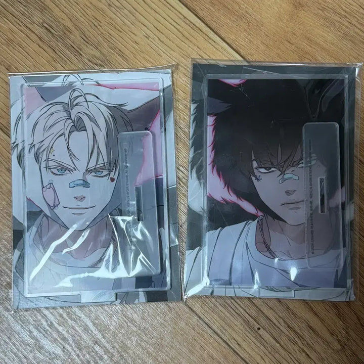 [SOLD OUT] 코드아나 아크릴스탠드 (포토카드 포함) 제냐+택주 일괄