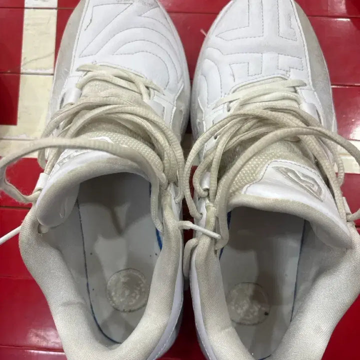 [BUNJANG] Zoom Freak 5 Basketball Shoes / 줌프릭5 농구화