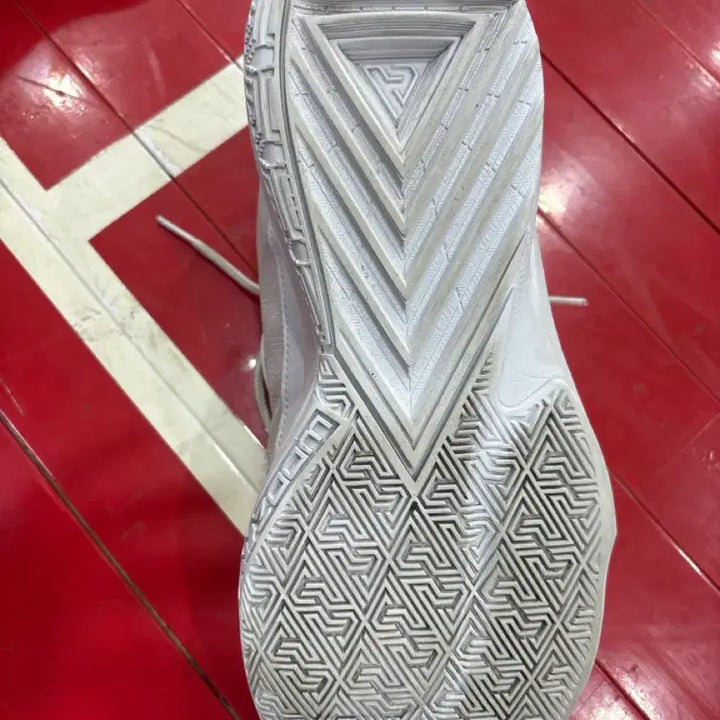[BUNJANG] Zoom Freak 5 Basketball Shoes / 줌프릭5 농구화