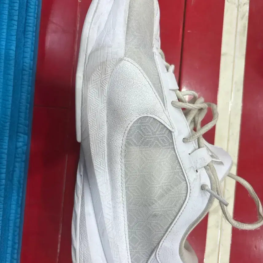 [BUNJANG] Zoom Freak 5 Basketball Shoes / 줌프릭5 농구화