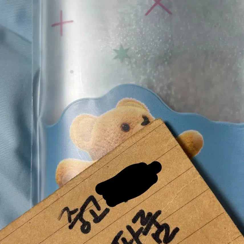 [BUNJANG] Snuggle Bear Passport Holder / 스너글 곰돌이 여권 케이스 여권지갑