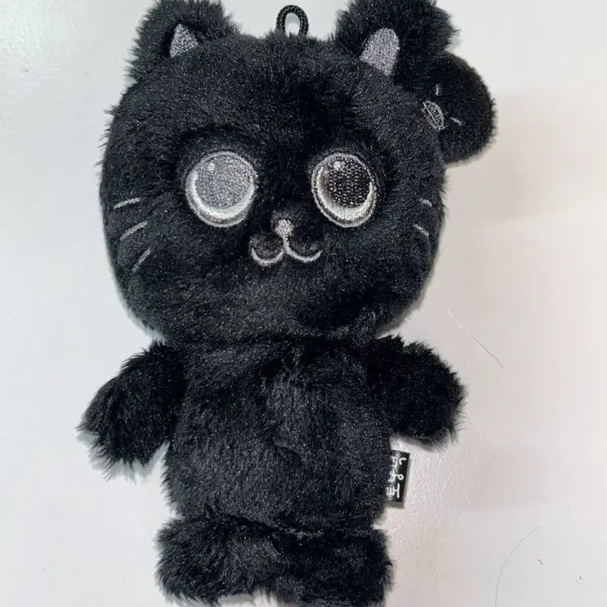 [SOLD OUT] 라이즈 원빈 토냥덕