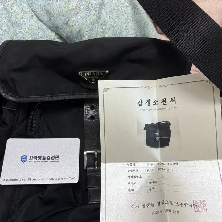 [BUNJANG] Prada Tessuto Crossbody Bag / (주우재)프라다 포코노 나일론 사피아노 메신저백 정품 감정
