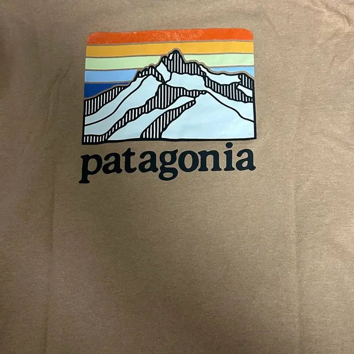 [BUNJANG] Patagonia Pocket T-Shirt Beige (M) / 파타고니아 포켓 반팔 티셔츠 베이지 M 판매합니다