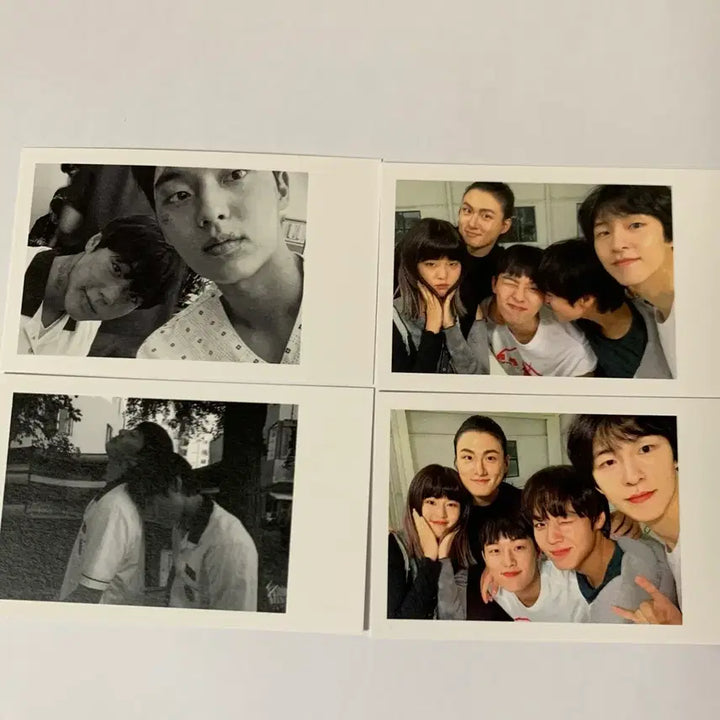 [SOLD OUT] 약한영웅 클원 비공굿 폴라 포카 굿즈
