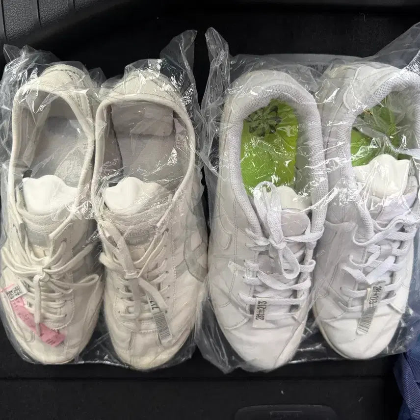 [BUNJANG] Nike All White Sneakers / 나이키 올화이트 운동화