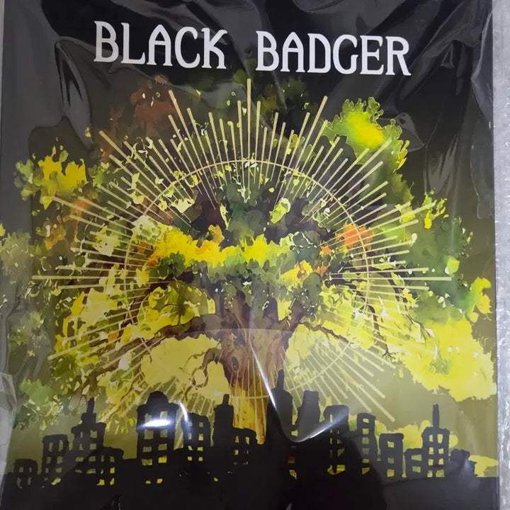 [BUNJANG] Black Badger A4 Binder / 블랙배저 바인더