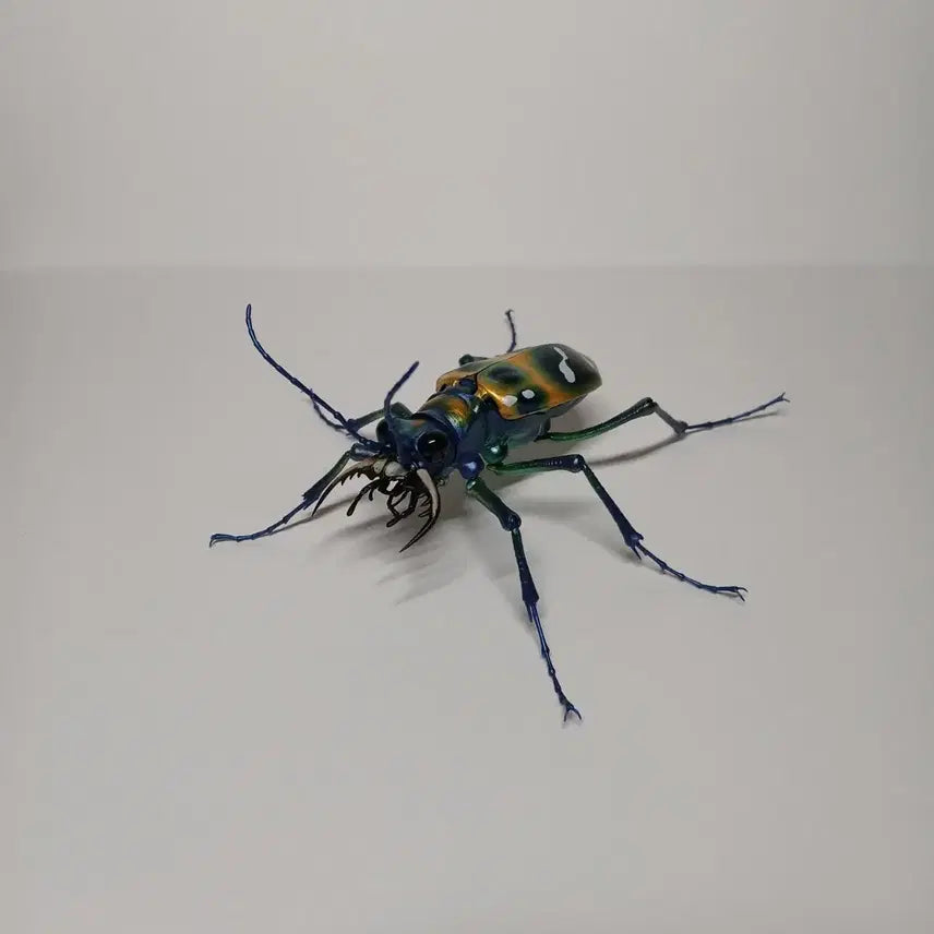 [BUNJANG] Bandai Seibutsu Daizukan Advance Mantis Yellow / 반다이 생물대도감 어드밴스 길앞잡이 옐로