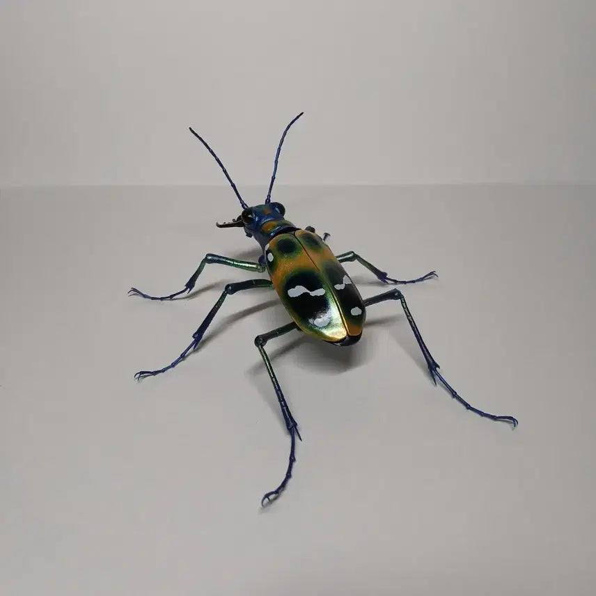 [BUNJANG] Bandai Seibutsu Daizukan Advance Mantis Yellow / 반다이 생물대도감 어드밴스 길앞잡이 옐로