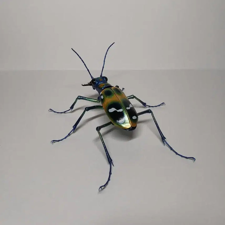 [BUNJANG] Bandai Seibutsu Daizukan Advance Mantis Yellow / 반다이 생물대도감 어드밴스 길앞잡이 옐로