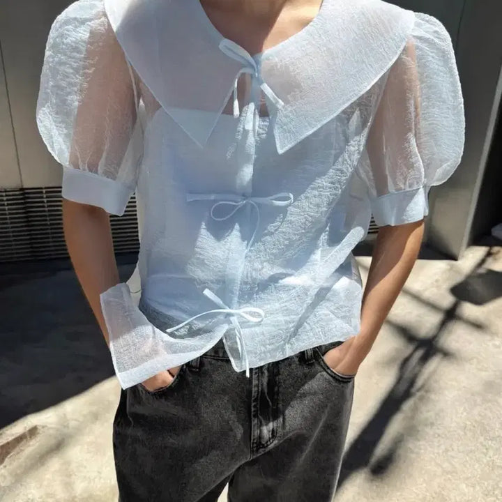 [BUNJANG] DRAGONBLUES Organza Blouse, S / DRAGONBLUES 드래곤블루스 오간자 블라우스, S