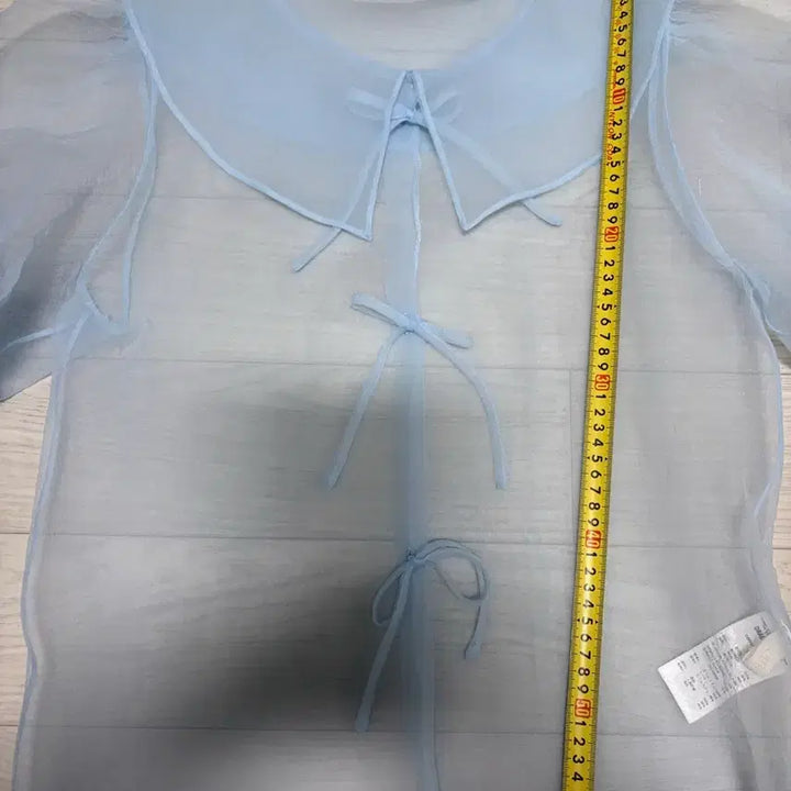 [BUNJANG] DRAGONBLUES Organza Blouse, S / DRAGONBLUES 드래곤블루스 오간자 블라우스, S