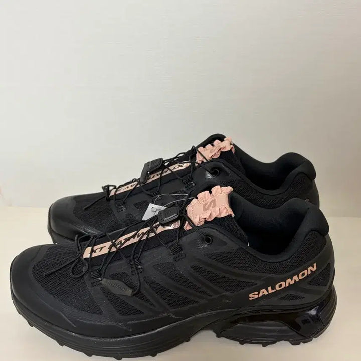 [BUNJANG] Salomon XT-Pathfinder 2 Mahogany Rose Black Hiking Shoes / 살로몬 XT패스웨이 2 마호가니 로즈 블랙 191958