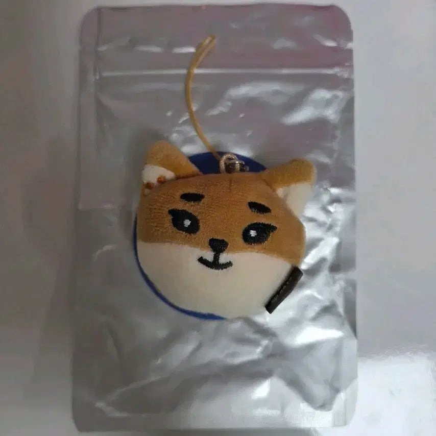 [BUNJANG] Day6 Young K Dennimalz K Secret Mini Face Keyring / 데이식스 영케이 데니멀즈 케 시크릿 미니 페이스 키링 양도합니다