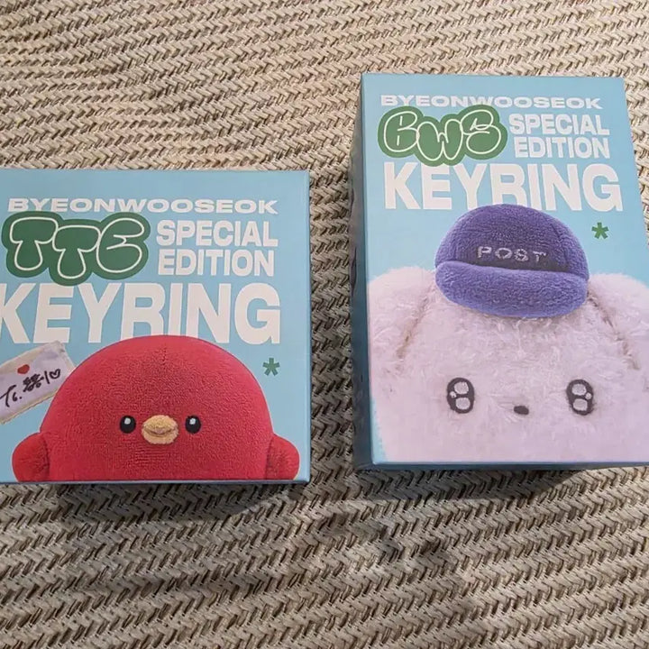 [SOLD OUT] 변우석 TTB/BWS 키링 스페셜 에디션