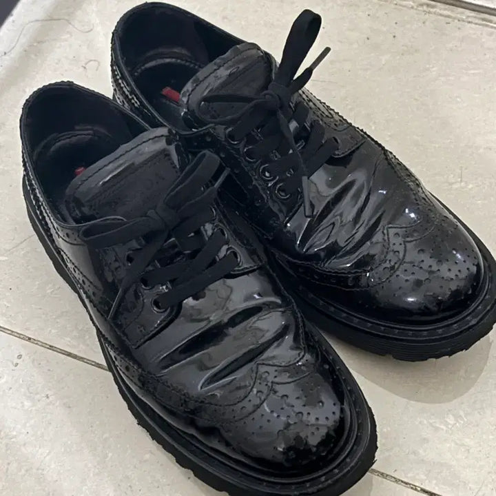 [BUNJANG] Prada Wingtip Derby Shoes EU36.5 / 프라다 윙팁 더비슈즈 eu36.5 (235) 유광