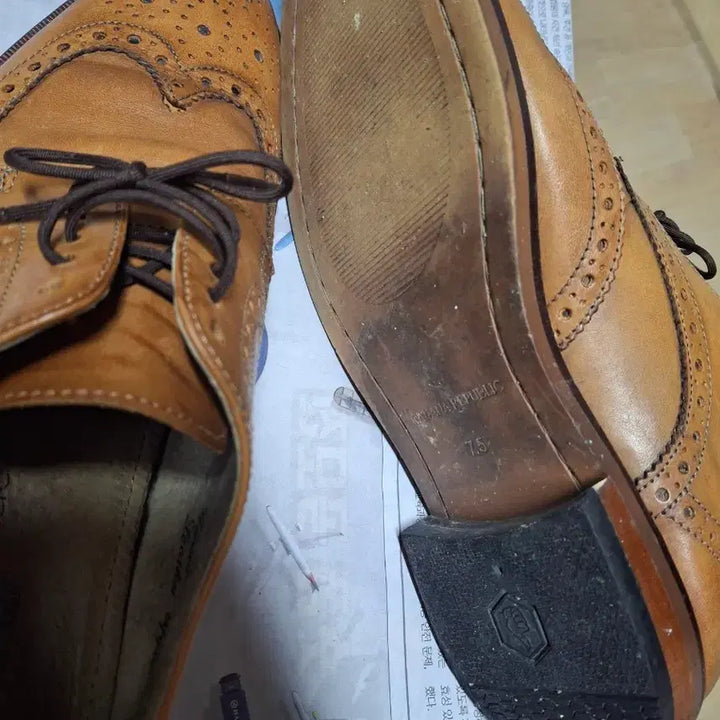 [BUNJANG] Wingtip Brown Leather Shoes / 윙팁255 29000