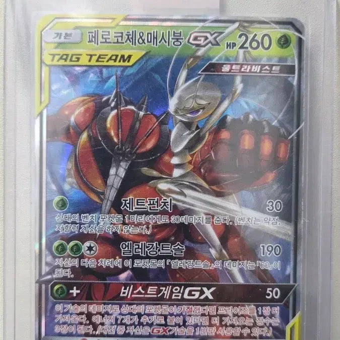 [BUNJANG] Pokemon Card Ferrothorn &amp; Scizor Tag Team GX / 포켓몬카드 페로코체&amp;매시붕 태그팀 GX 팝니다