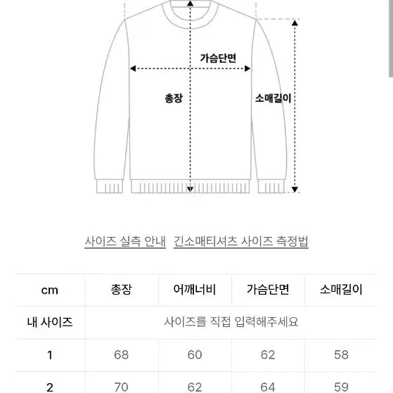 [BUNJANG] Icore Light Green Oversized Sweatshirt / 이코르 라이트그린 오버핏 맨투맨