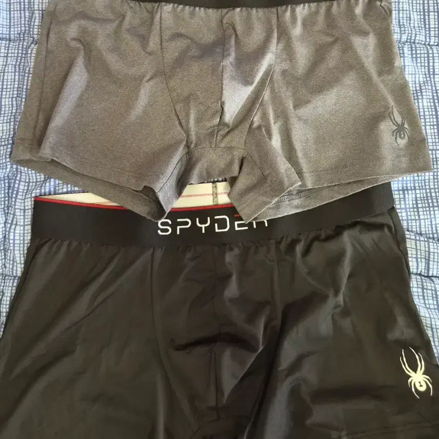 [BUNJANG] Spider Underwear / 스파이더 팬티