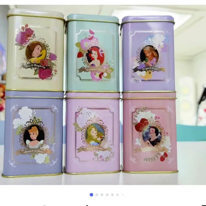 [BUNJANG] Disney Princess Tea Case / 디즈니 프린세스 티 케이스