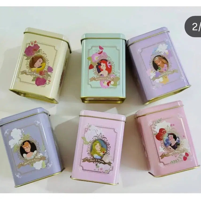 [BUNJANG] Disney Princess Tea Case / 디즈니 프린세스 티 케이스