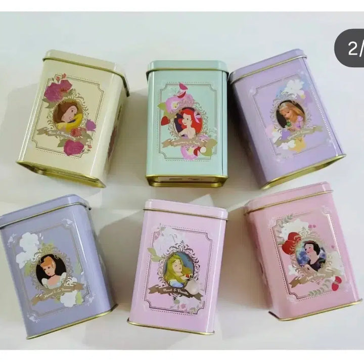 [BUNJANG] Disney Princess Tea Case / 디즈니 프린세스 티 케이스