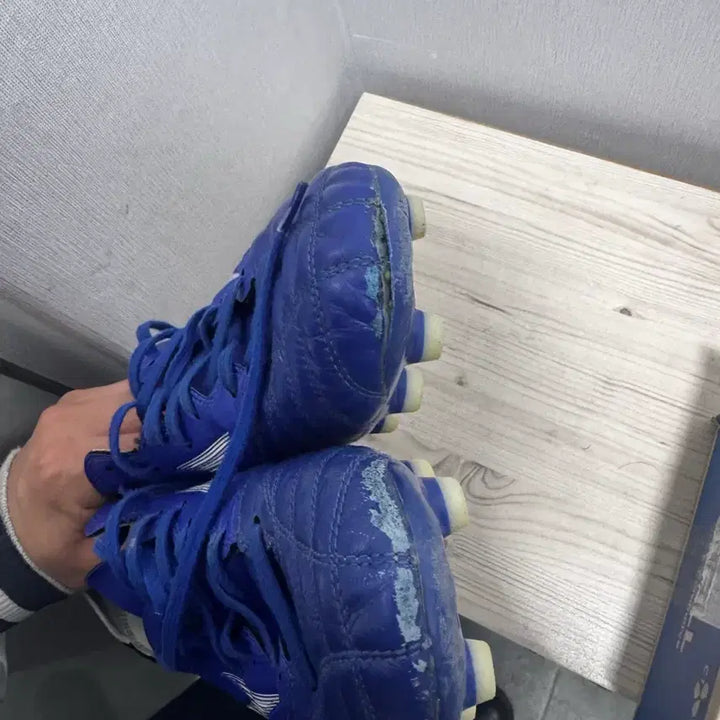 [BUNJANG] Mizuno Soccer Cleats 265 / 미즈노 축구화 265