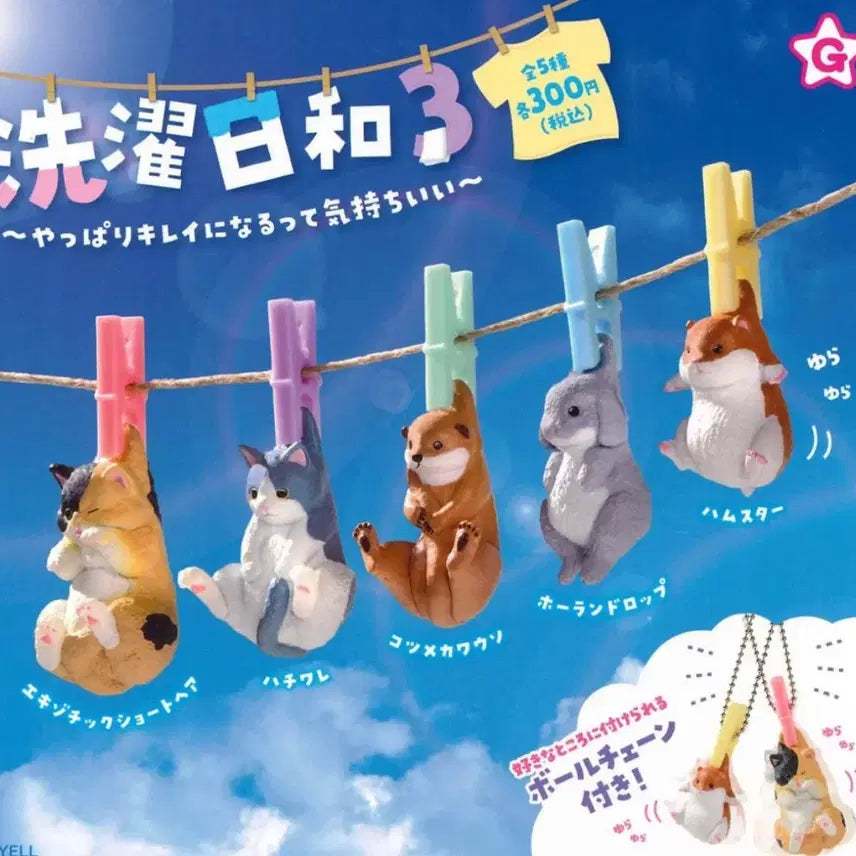 [BUNJANG] Good Day to Wash, Good Day to Laundry 3 Gacha Sealed / 세탁하기 좋은날, 빨래하기 좋은날3 가챠 미개봉