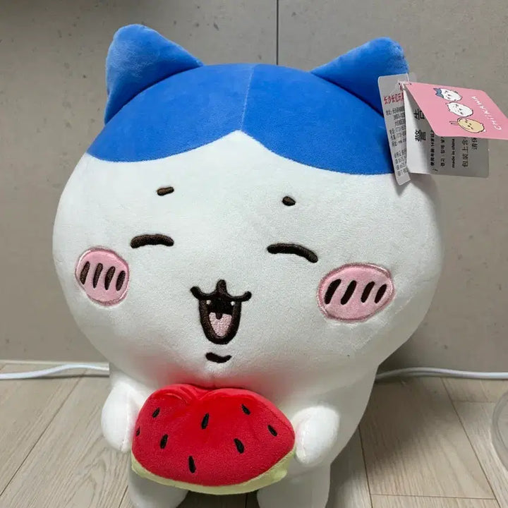 [BUNJANG] Chiikawa Watermelon Hachiwara Plush Doll / 치이카와 수박 인형 하치와레