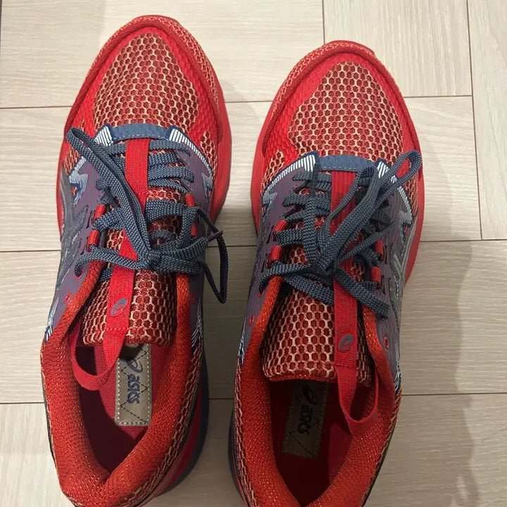 [BUNJANG] Asics Gel Terrain Classic Red Wood Crape 280 / 아식스 젤 터레인 클래식 레드 우드 크레이프 280