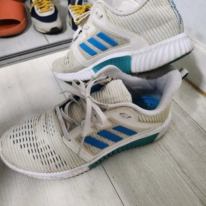 [BUNJANG] Adidas AlphaBounce White/Blue Sneakers / 아디다스 알파바운스 흰색/블루 운동화