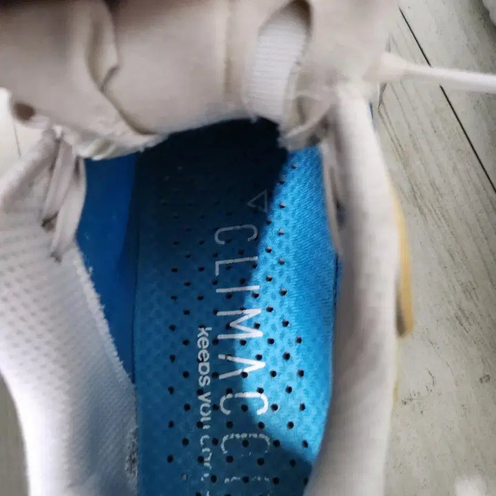 [BUNJANG] Adidas AlphaBounce White/Blue Sneakers / 아디다스 알파바운스 흰색/블루 운동화