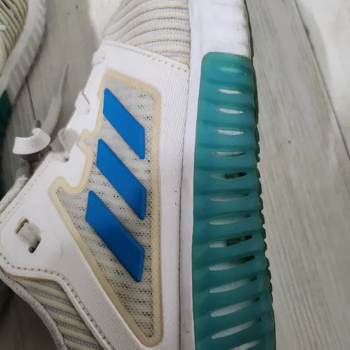 [BUNJANG] Adidas AlphaBounce White/Blue Sneakers / 아디다스 알파바운스 흰색/블루 운동화