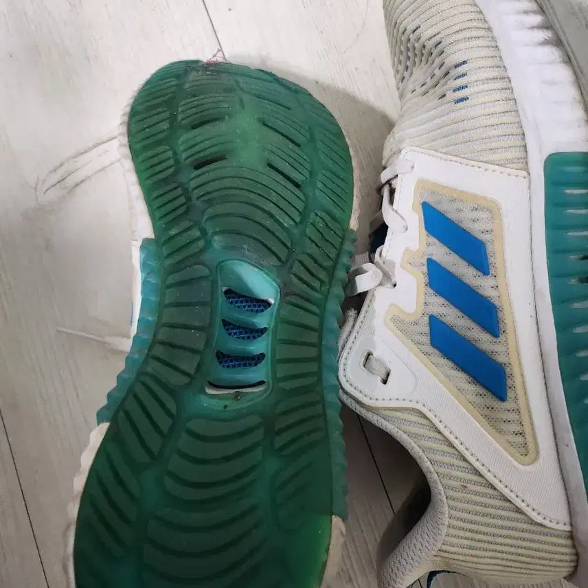 [BUNJANG] Adidas AlphaBounce White/Blue Sneakers / 아디다스 알파바운스 흰색/블루 운동화