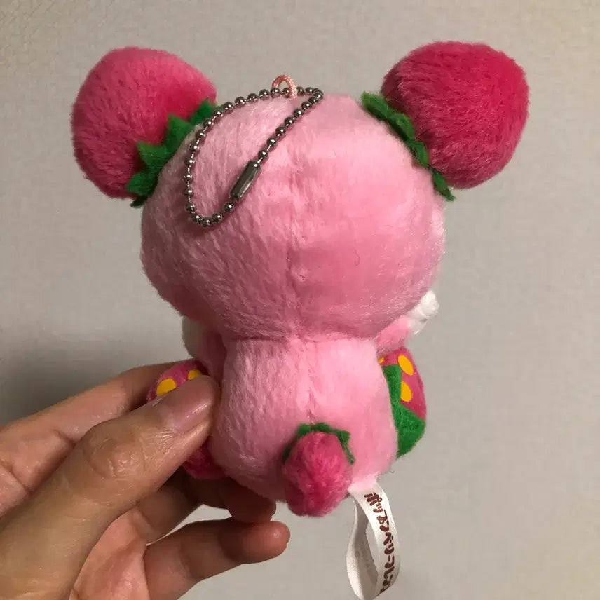 [BUNJANG] Sanrio Pop &
