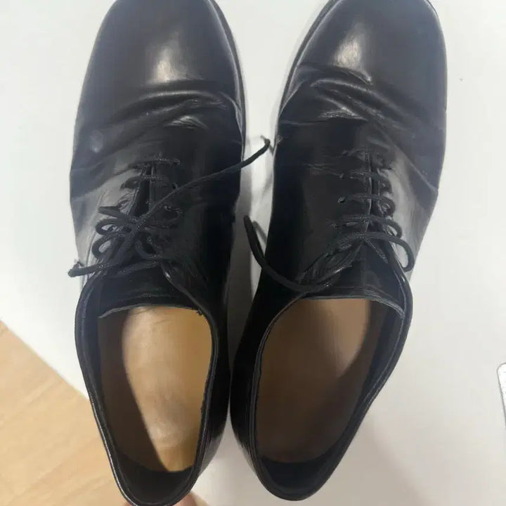 [SOLD OUT] 컬러콜라 홀컷 260 (토비 콜라보)