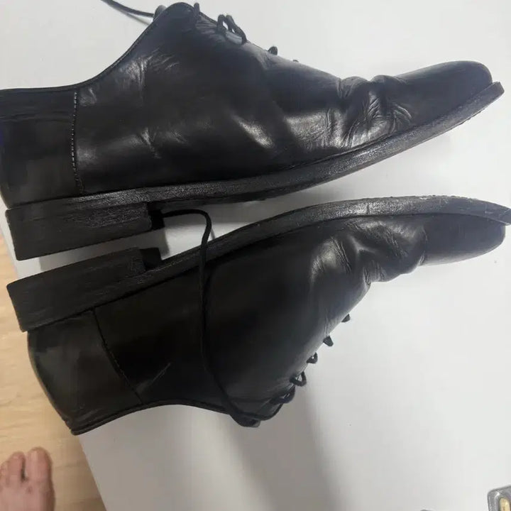 [SOLD OUT] 컬러콜라 홀컷 260 (토비 콜라보)