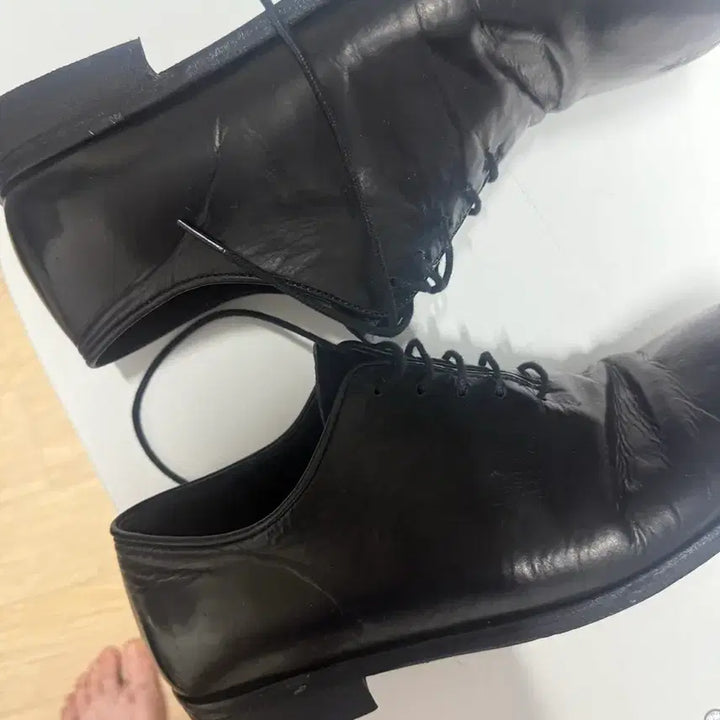 [SOLD OUT] 컬러콜라 홀컷 260 (토비 콜라보)