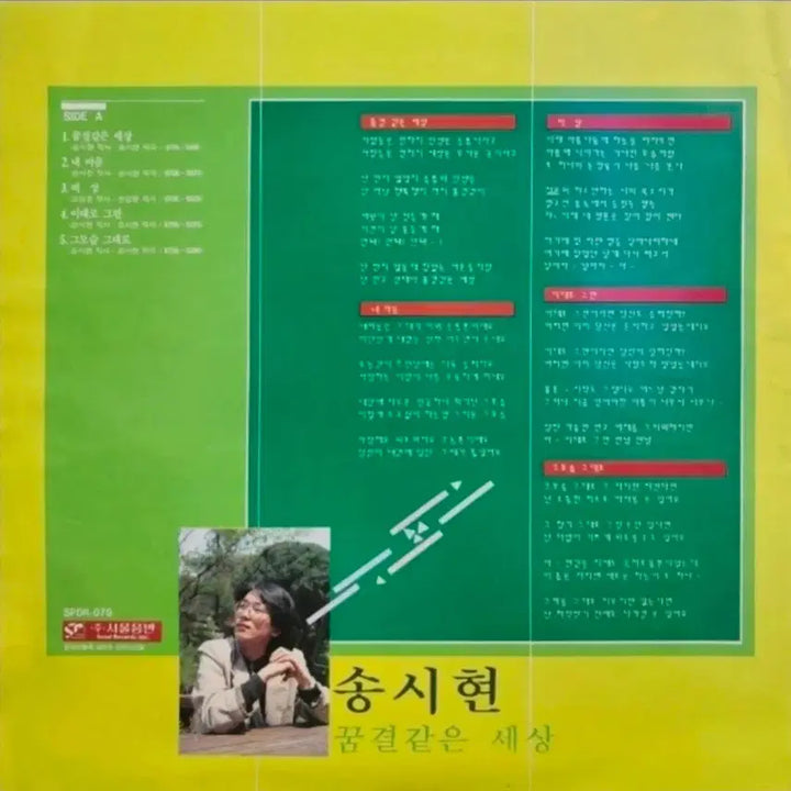 [BUNJANG] Song Si Hyun Dreamy World LP / 송시현 꿈결같은 세상 LP