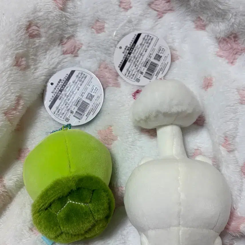[BUNJANG] Chikawa Parasitic Mushroom Chikawa Turtle Hachiware Bundle Set / 일괄) 치이카와 기생버섯치이카와 거북이하치와레