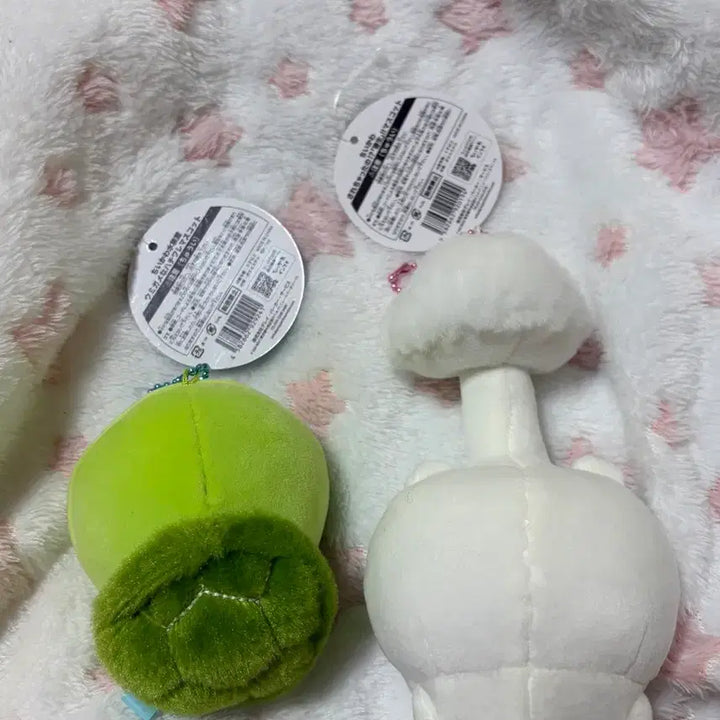 [BUNJANG] Chikawa Parasitic Mushroom Chikawa Turtle Hachiware Bundle Set / 일괄) 치이카와 기생버섯치이카와 거북이하치와레