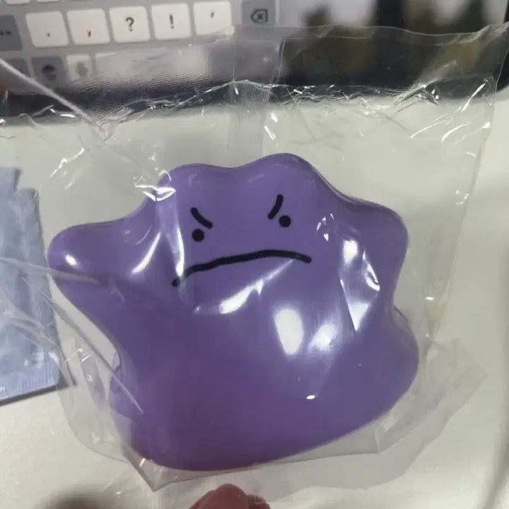 [BUNJANG] Pokemon Metamong Piggy Bank / 포켓몬스터 메타몽 저금통