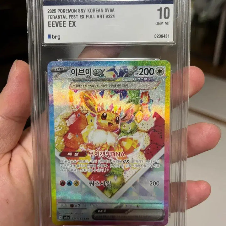[SOLD OUT] 포켓몬 카드 등카 싱카 팝니다.