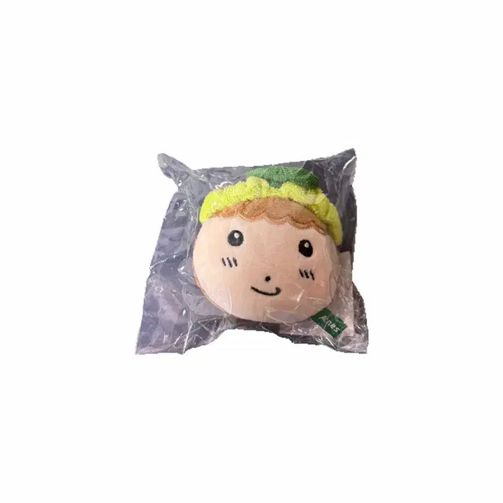 [BUNJANG] Acnes Maru the Gang-Gwi Keyring Plush Doll / 아크네스 마루는강쥐 키링 인형