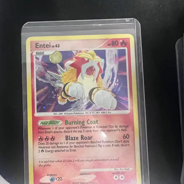 [BUNJANG] Pokemon Japanese Edition Card Set / 포켓몬카드 일판 한판 제시