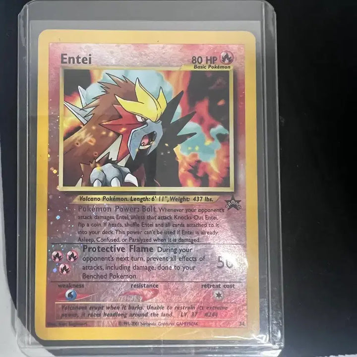 [BUNJANG] Pokemon Japanese Edition Card Set / 포켓몬카드 일판 한판 제시