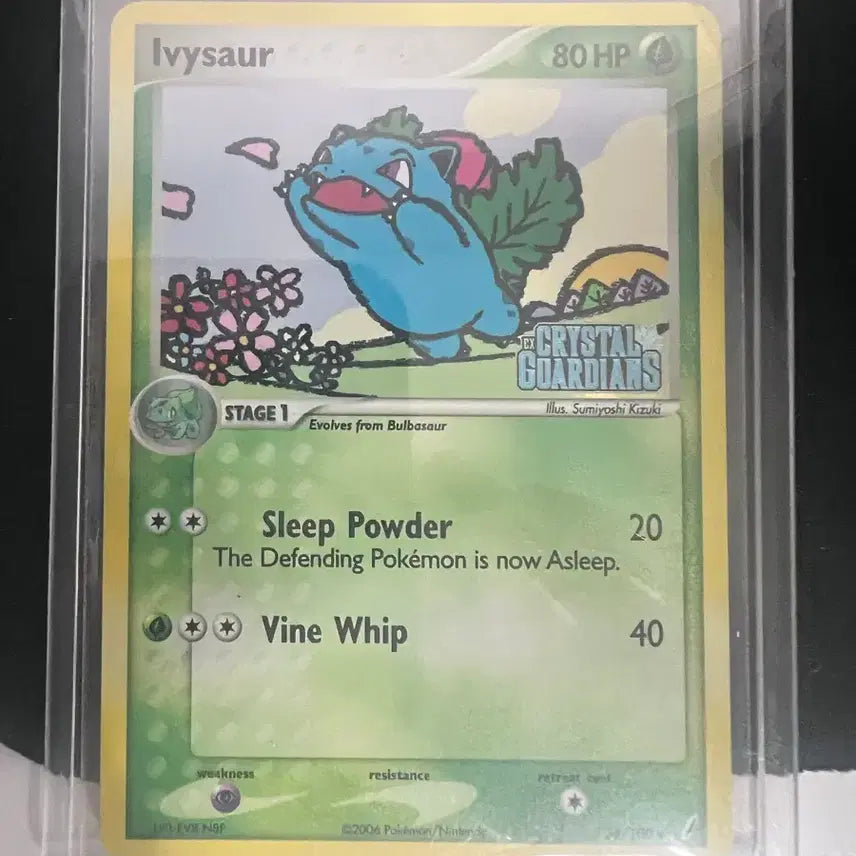 [BUNJANG] Pokemon Japanese Edition Card Set / 포켓몬카드 일판 한판 제시