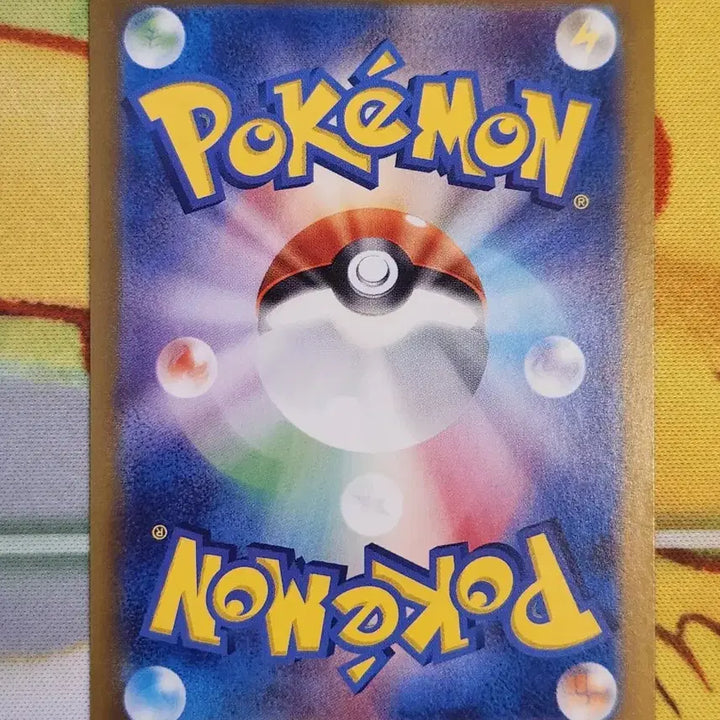 [BUNJANG] Pokemon Arena Misty&