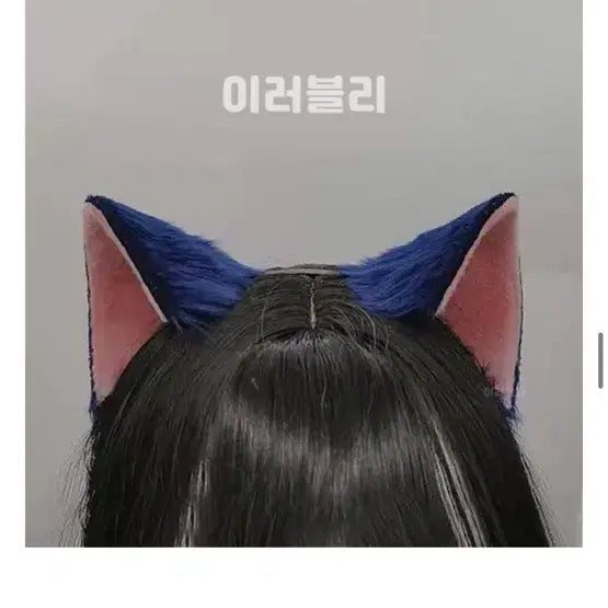 [BUNJANG] Toma Tsukiyomi Ikuto Cosplay Full Set / (추가금x)캐캐체 토마 캐릭캐릭체인지코스프레올풀셋대여판매 졸업사진 졸사